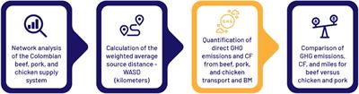 The carbon footprint of beef transport in Colombia: market connections and distribution networks